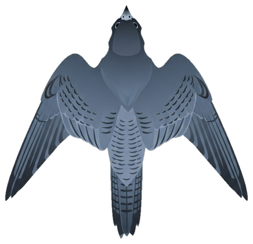 Falcon courier